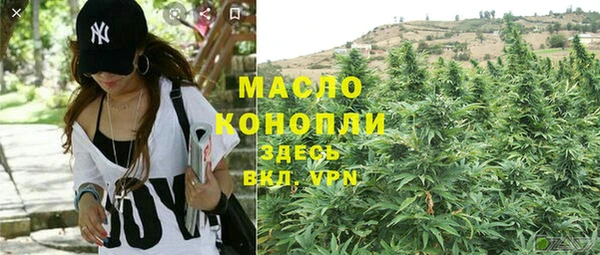 трава Магас