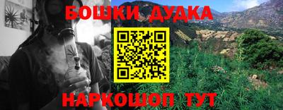 спайс Гагарин