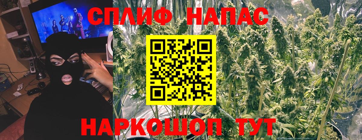 Каннабис OG Kush Стерлитамак